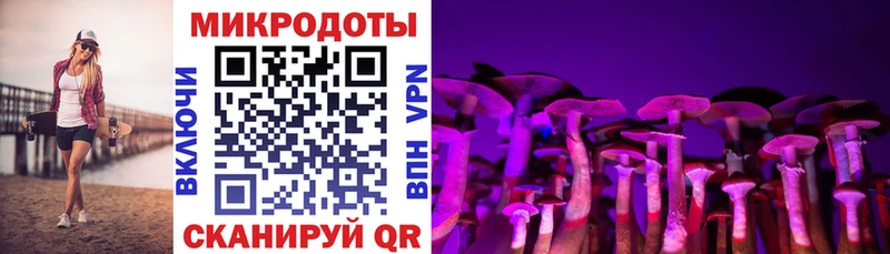 Псилоцибиновые грибы мицелий Лосино-Петровский